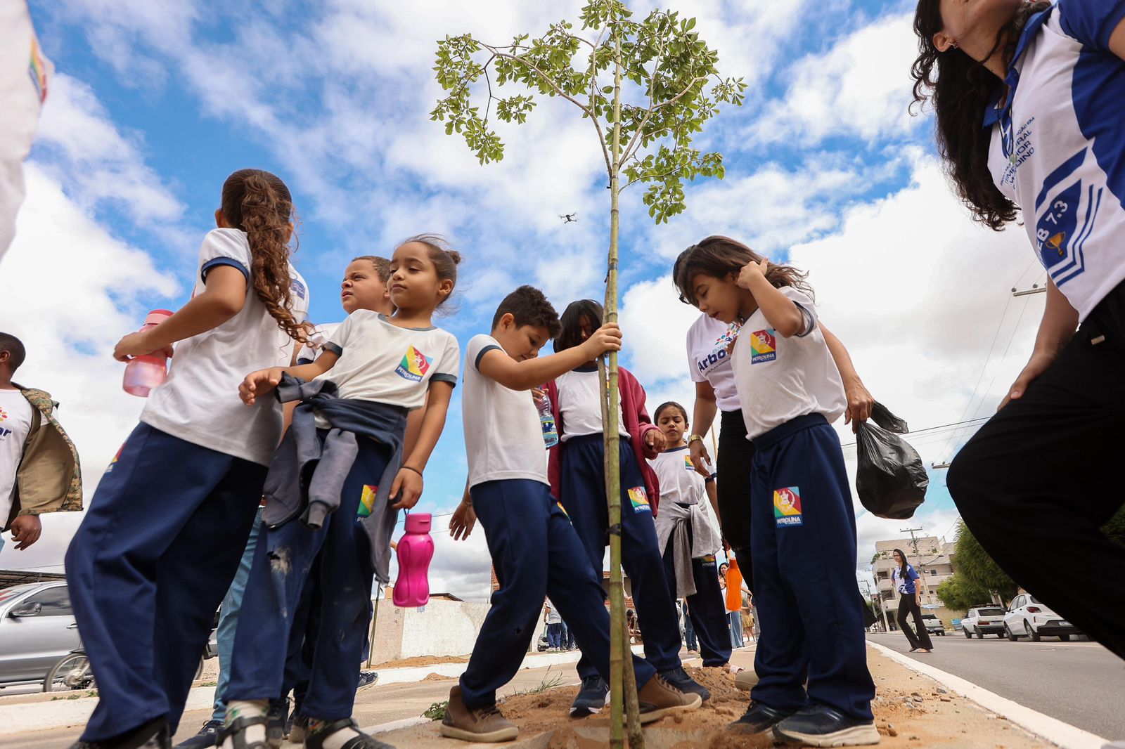 Petrolina mais verde: plantio de ipês amarelos leva educação ambiental ao bairro Vila Eulália