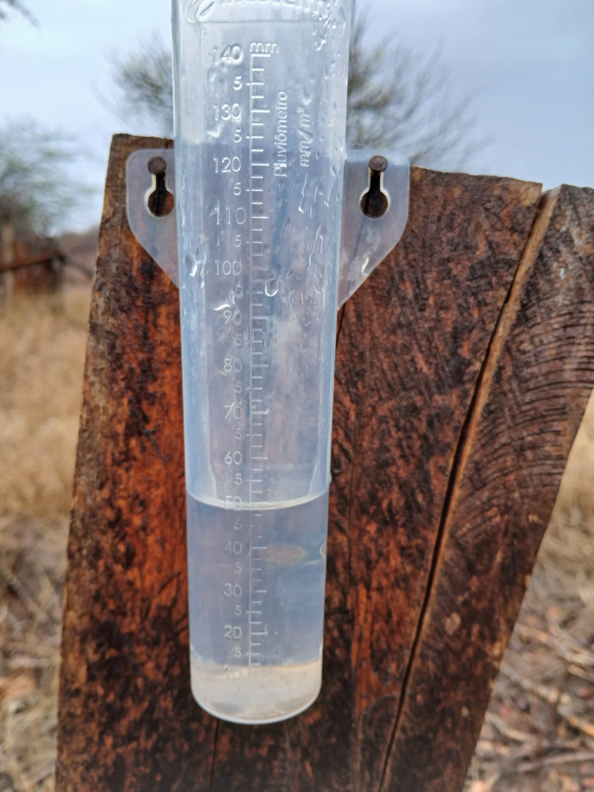 Comunidades da zona rural de Petrolina registram chuva na manhã desta quinta-feira