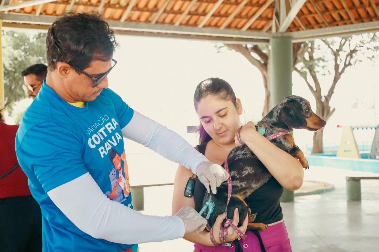 Petrolina supera meta de vacinação antirrábica e imuniza 67 mil animais