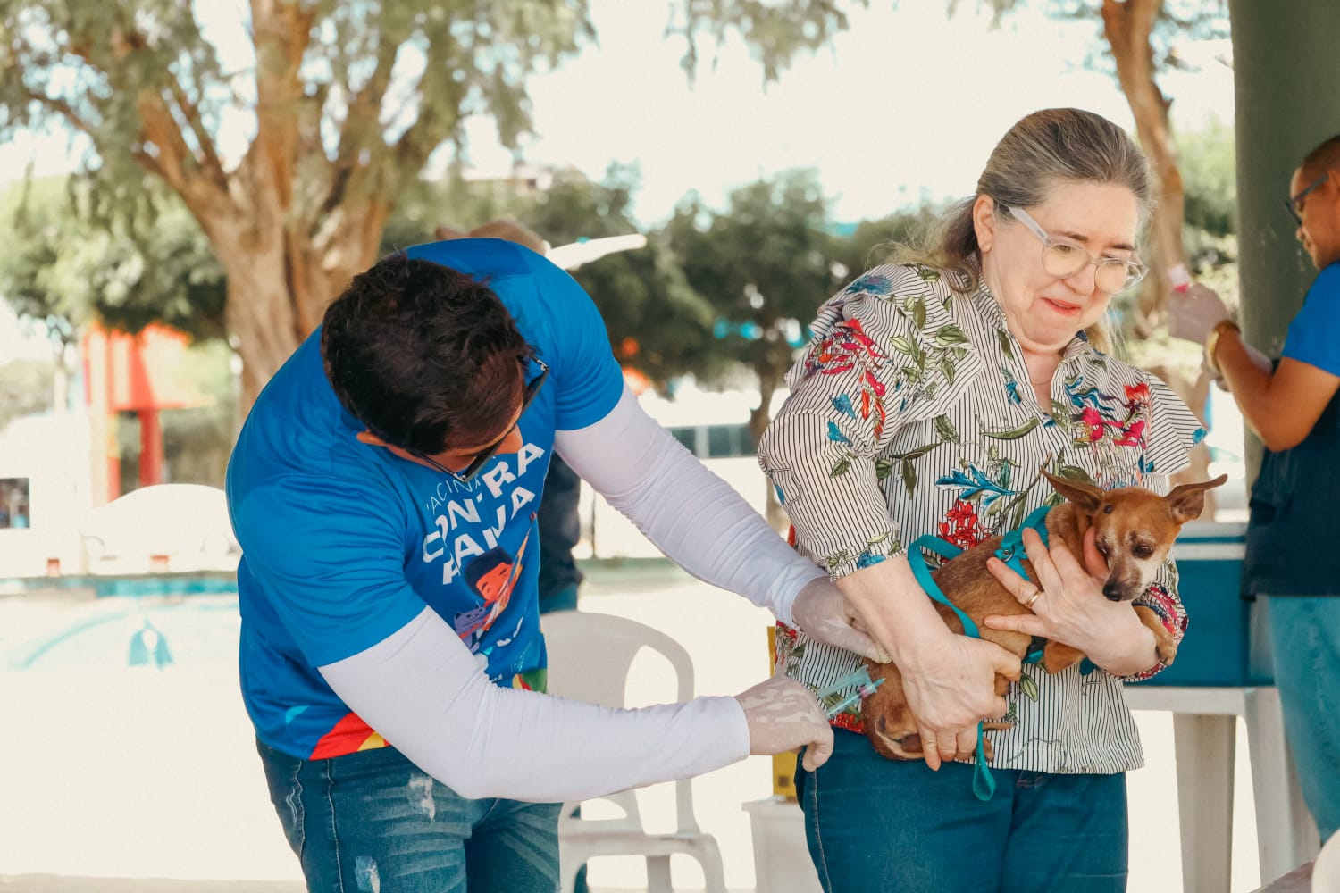 Porta a porta: Vacinação antirrábica segue em bairros de Petrolina
