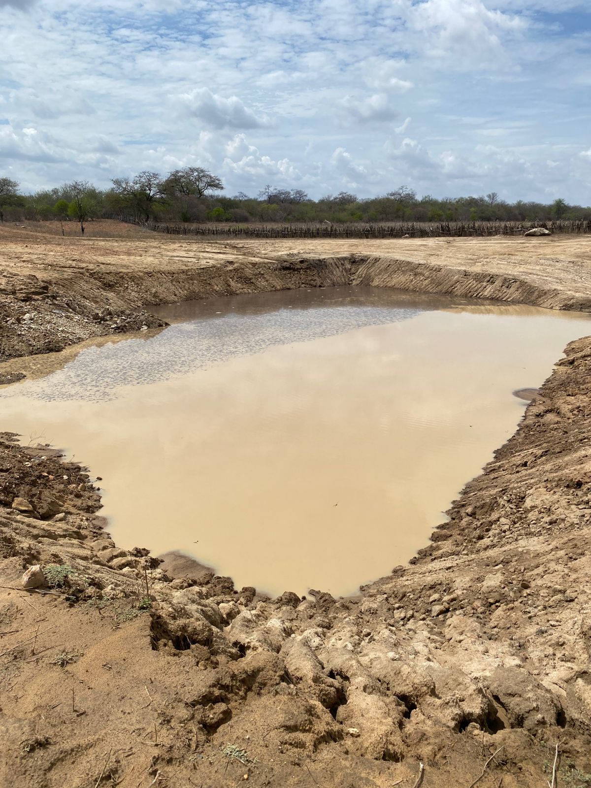 Chuvas na zona rural de Petrolina trazem alívio para o homem do campo