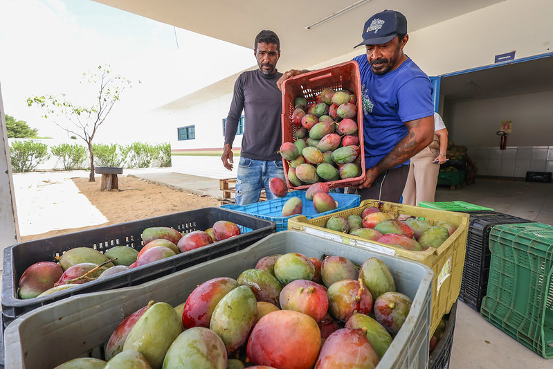 Prefeitura de Petrolina garante novos recursos para aquisição de alimentos pelo PAA