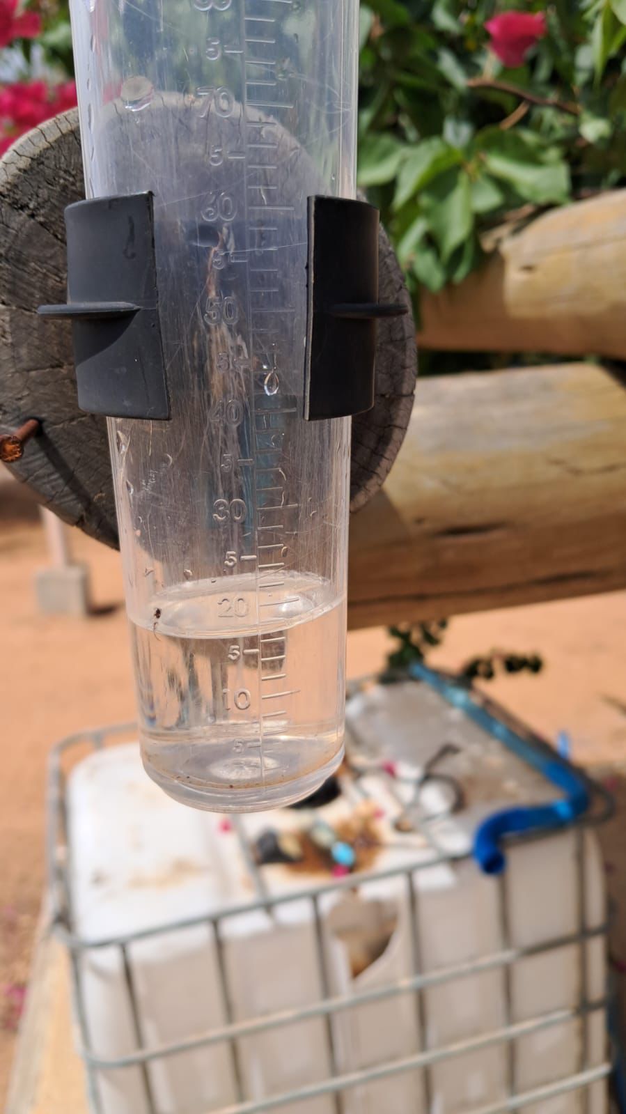 Petrolina registra chuvas na zona rural e reacende esperança do homem do campo