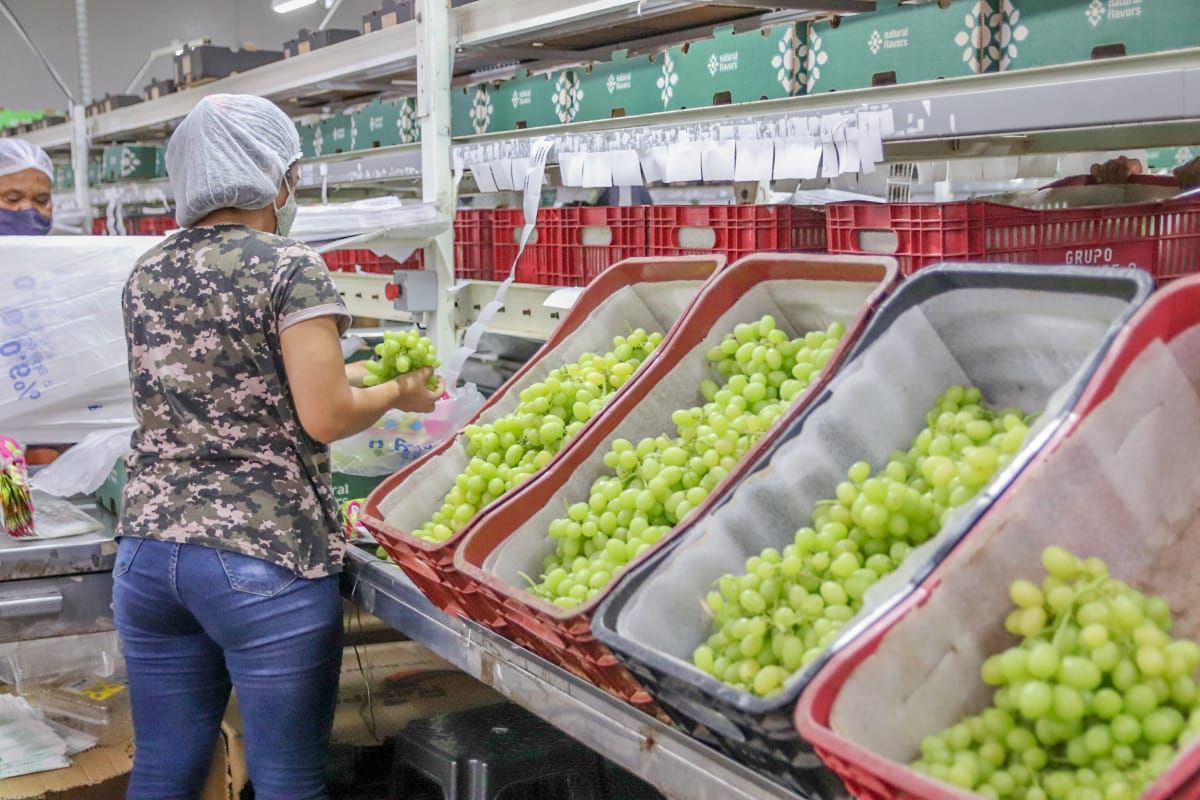 Petrolina segue entre as cidades que mais geraram empregos em Pernambuco em 2025