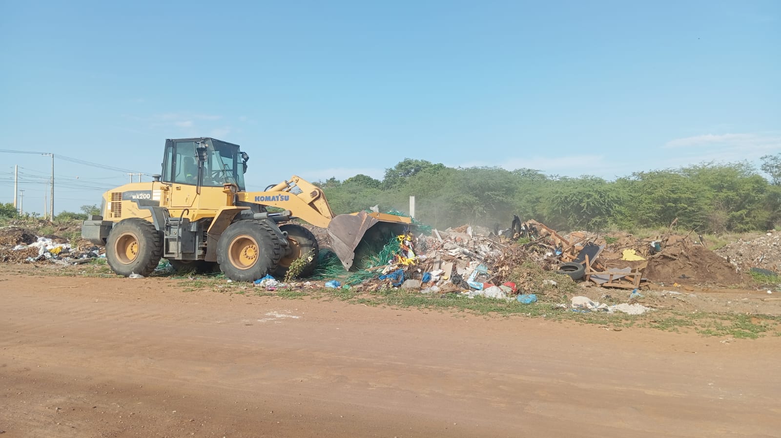 Descarte irregular de animais mortos mobiliza força-tarefa e acende alerta em Petrolina