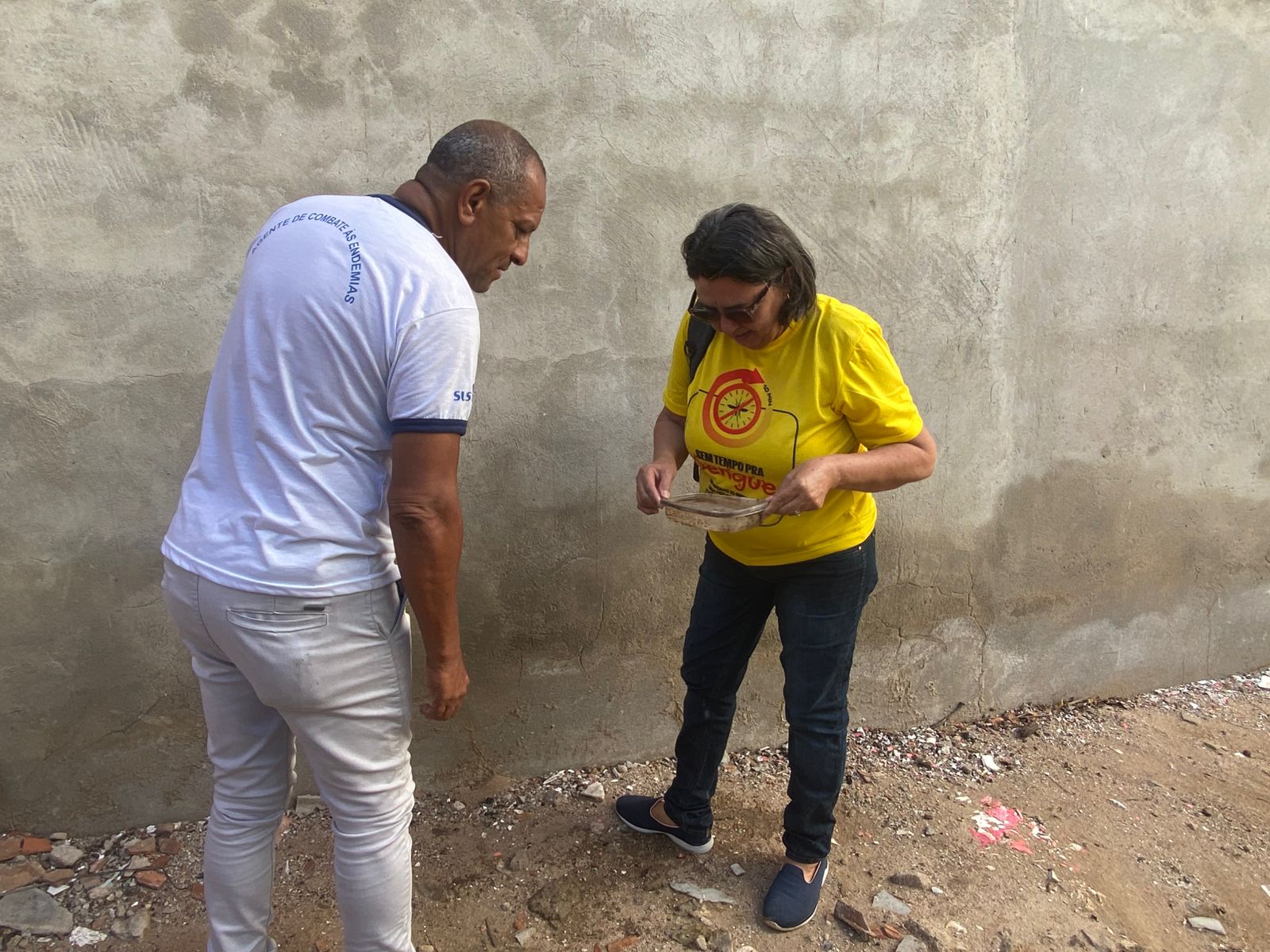 Aedes aegypti: Petrolina inicia nova pesquisa do LIRAa na cidade