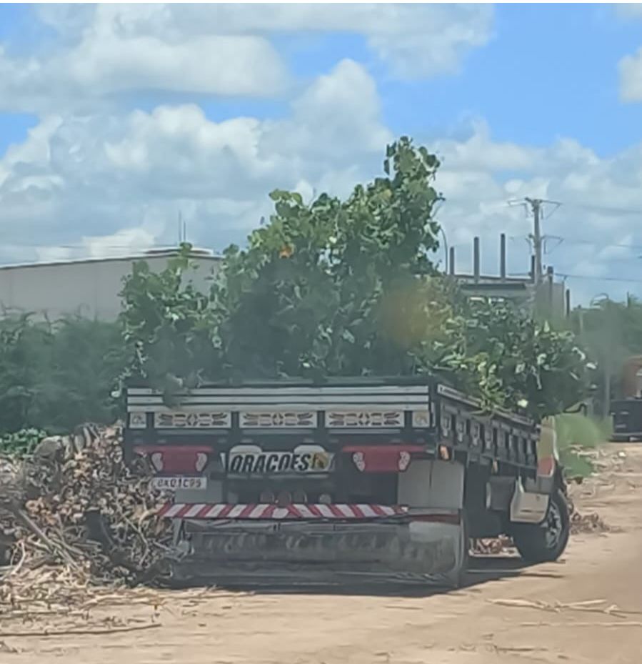 Petrolina+Limpa: Descarte irregular de resíduos resulta em multa e apreensão de veículo