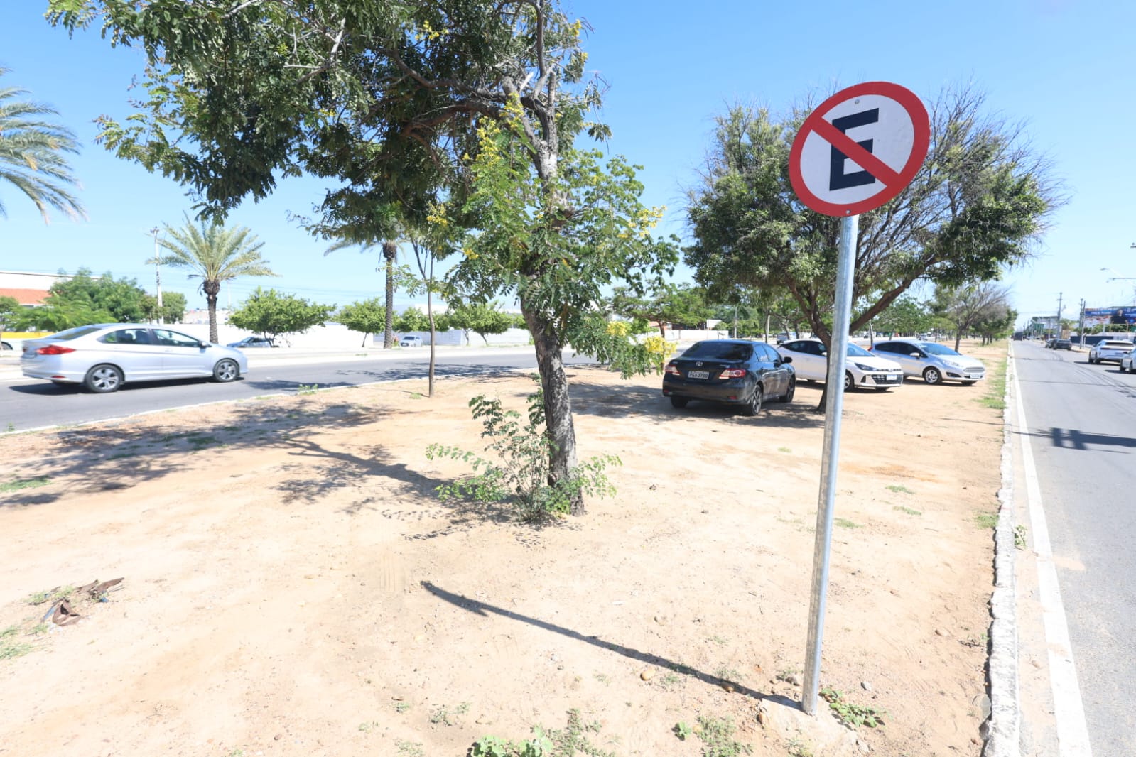 Estacionar em canteiros pode gerar multa e até ocasionar na remoção de veículos