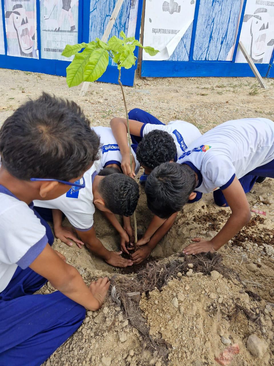 Alunos da rede municipal participam de plantio de árvores Parque do Povo em Petrolina